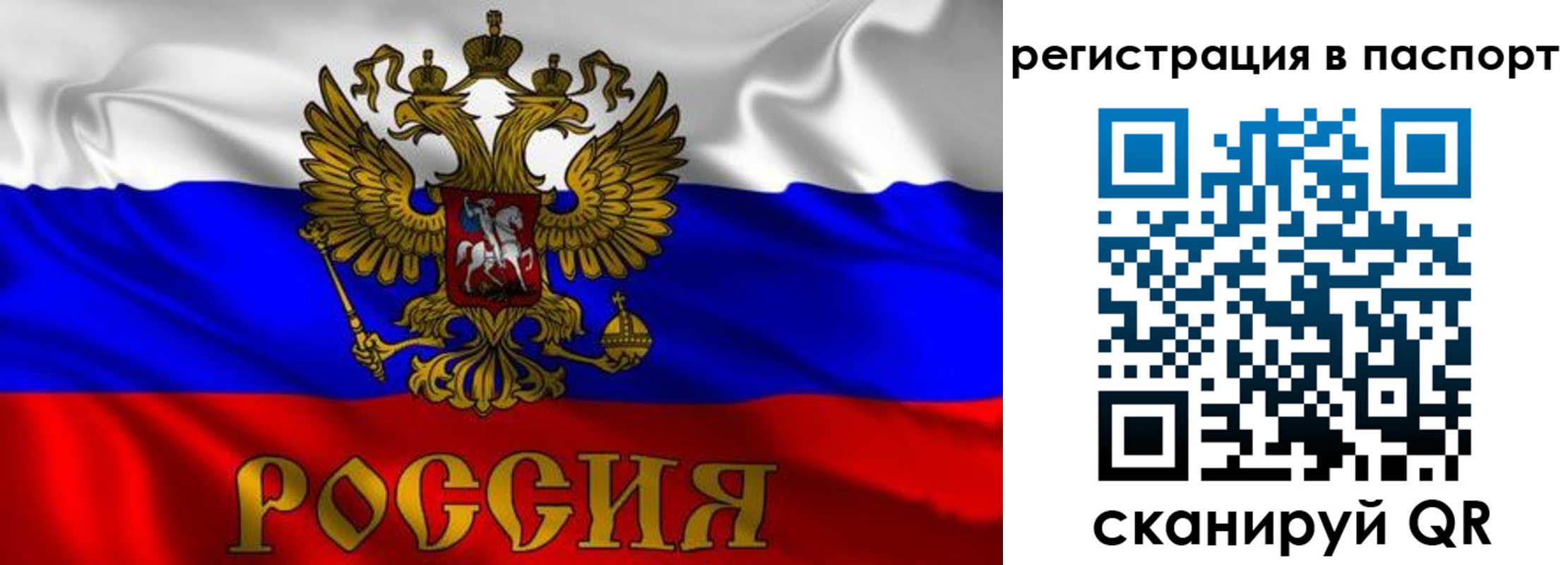 найти адрес прописки в Пугачёве
